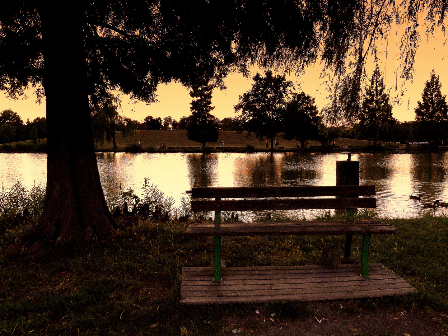 Modena, tramonto al parco amendola