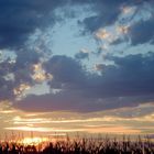 Modena, tramonto di fine estate