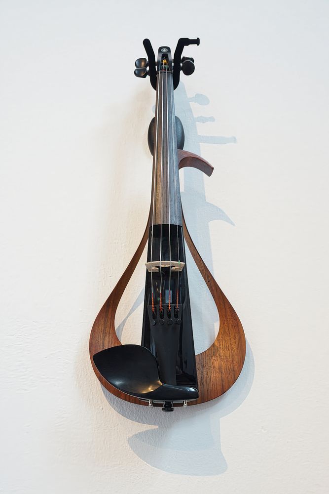 Moderne E-Violine