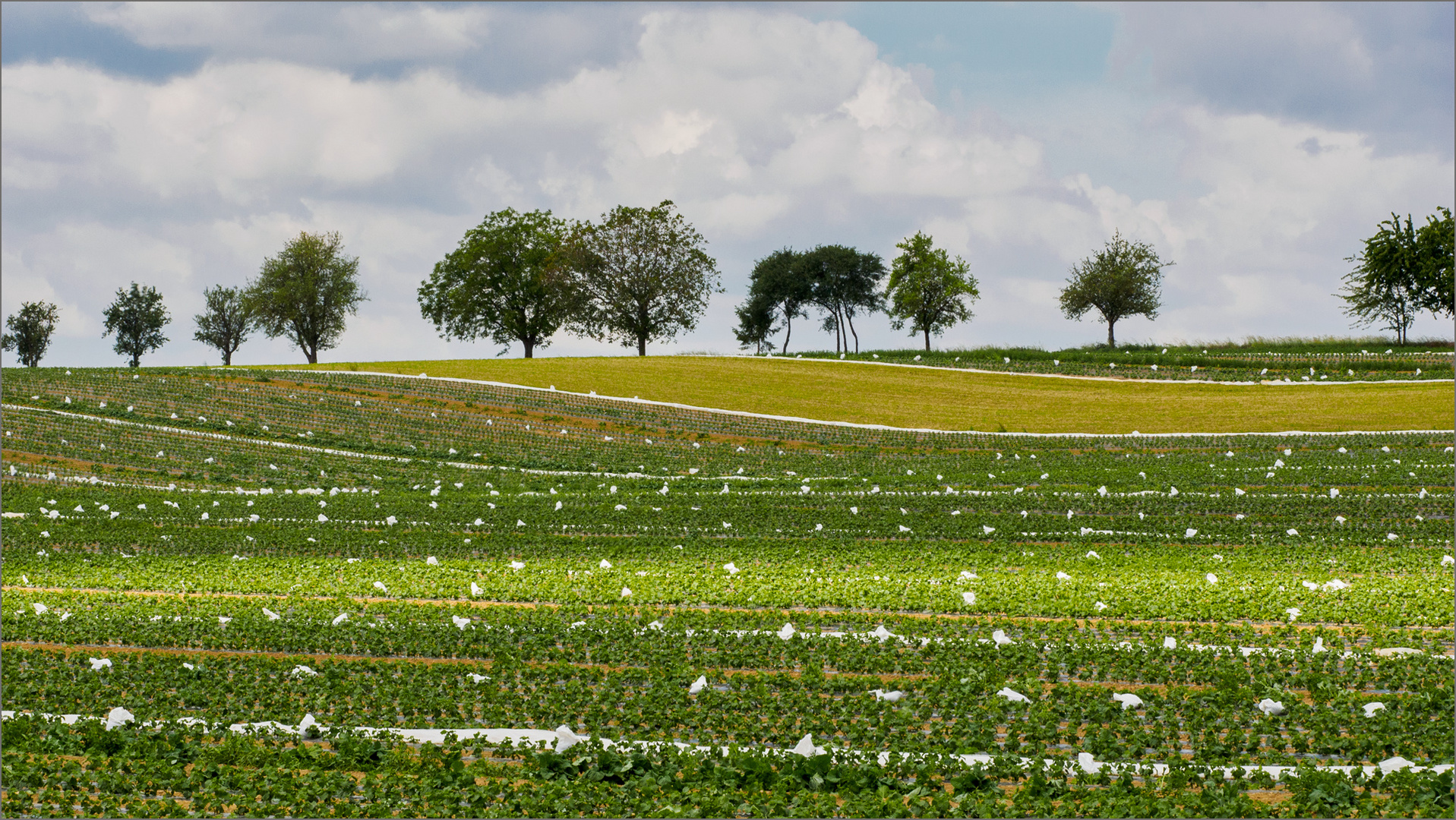 Moderne Landwirtschaft