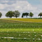 Moderne Landwirtschaft