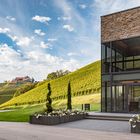 Moderne Weinarchitektur im Weinparadies Durbach