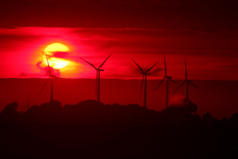 Moderne Windmühlen in der Abendsonne