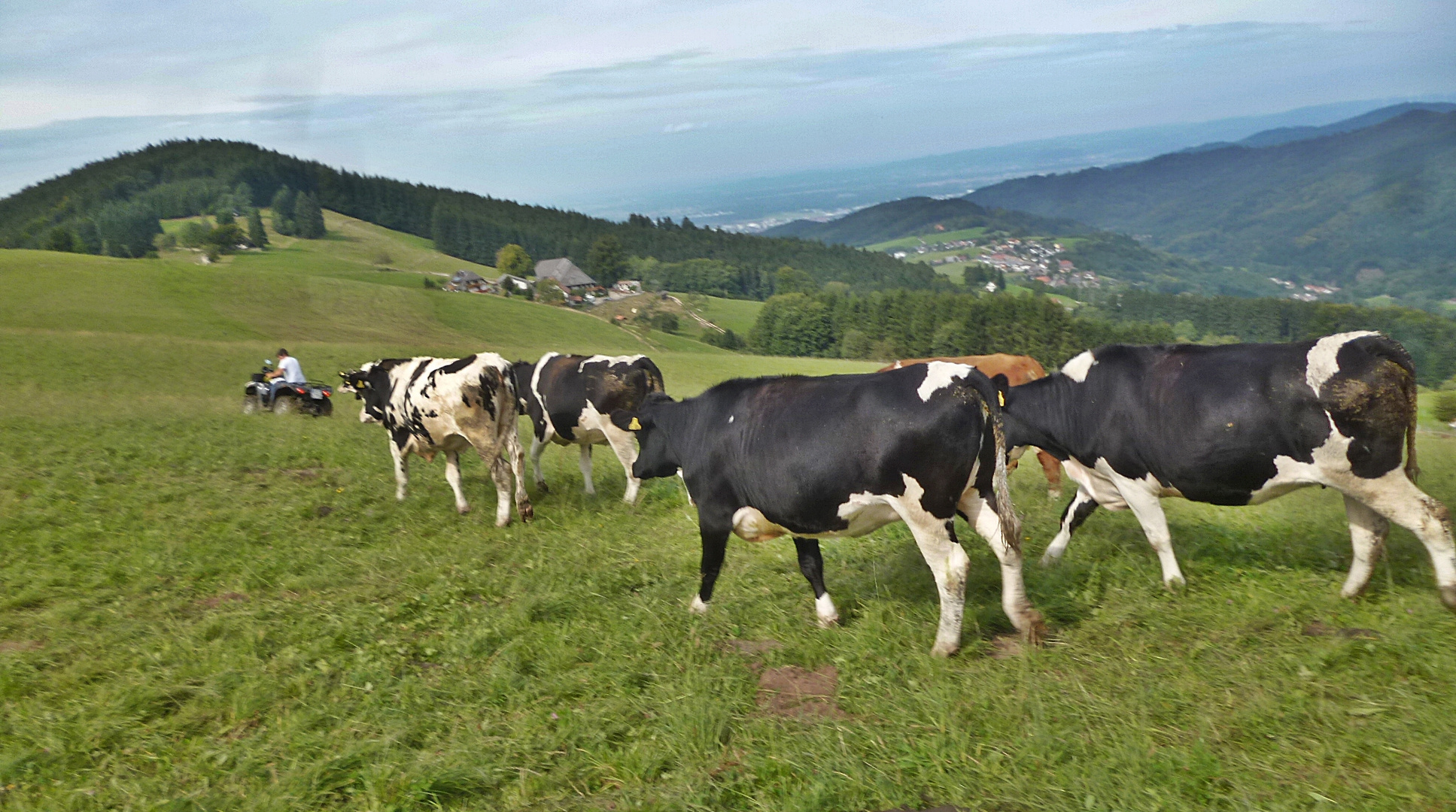 "Moderne Zeiten" oder "Cowboy 2014"