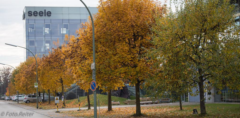 Modernes Bauwerk und die farben des Herbstes