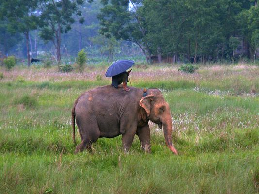 Modernes Nepal: Mit Schirm und Smartphone.....