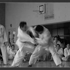 Modernes Sport Karate