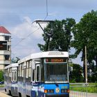 Modernisierte Tram an einer modernisierten Haltestelle