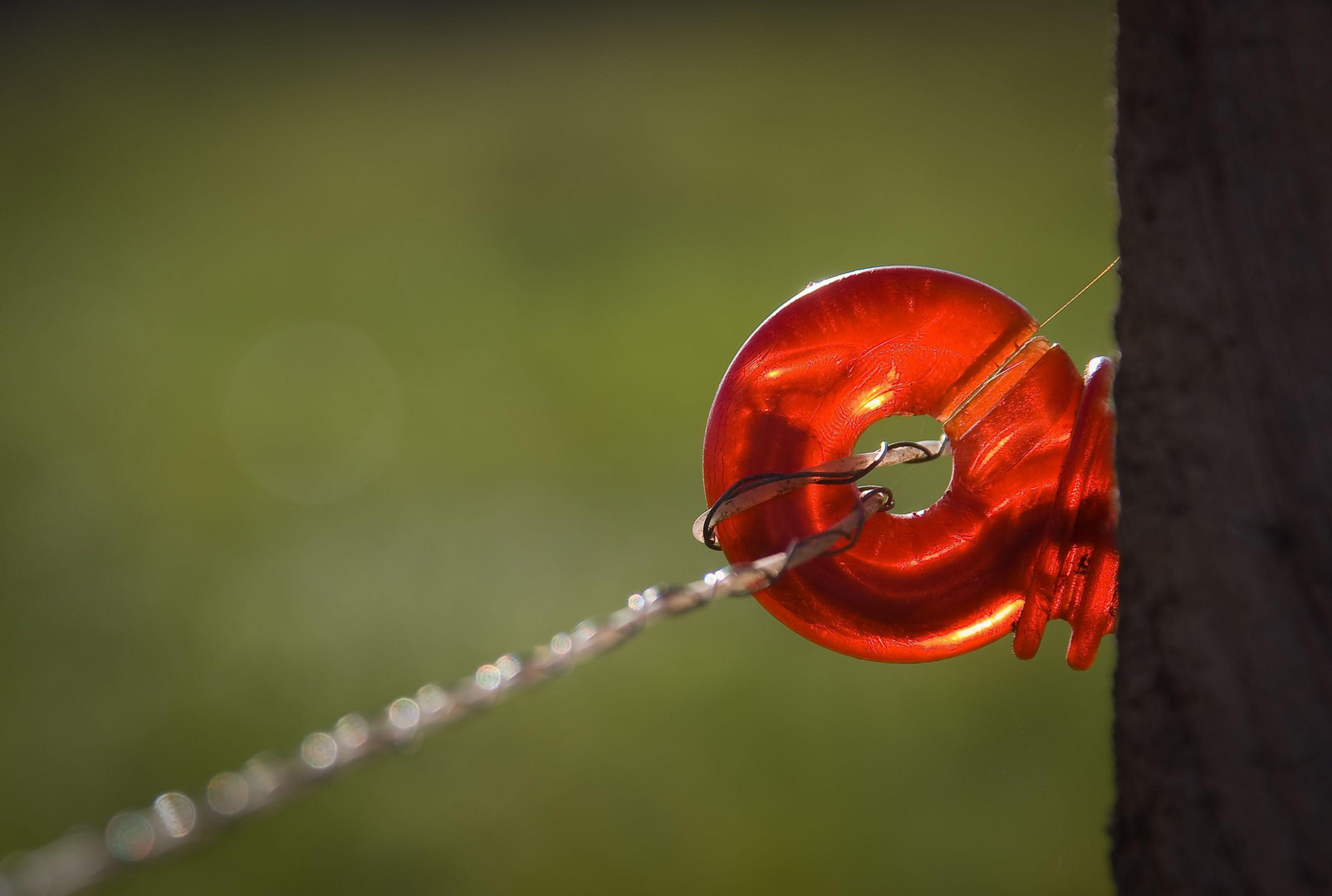 Modeschmuck am Weidezaun