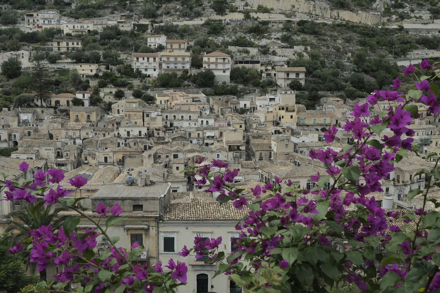 Modica