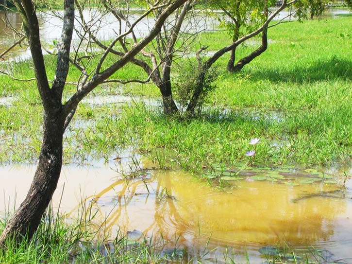 Moe Yun Gyee Lake