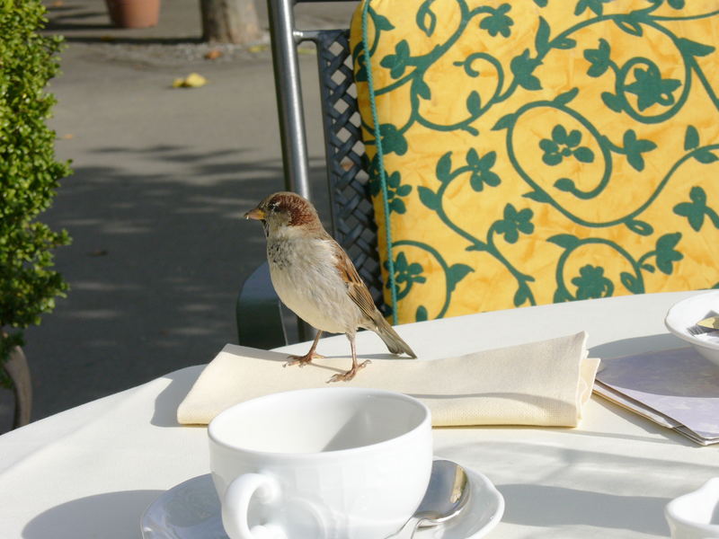 Möchten Sie Kaffee ?