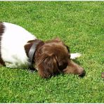 Möchtest du mein Freund sein ?