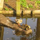 Moeder en kinderen genieten van de zon