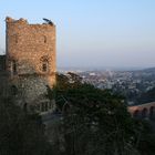 Mödling: Schwarzer Turm und Aquädukt