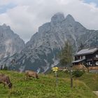 Mödlingerhütte