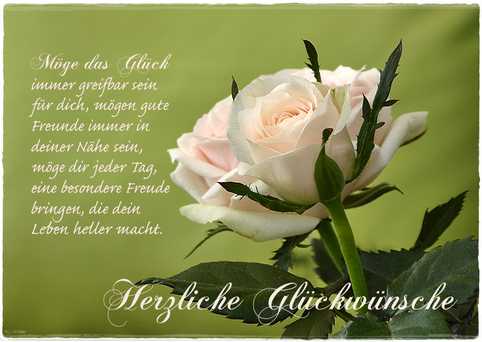 Möge das Glück Foto & Bild gratulation und feiertage, geburtstag