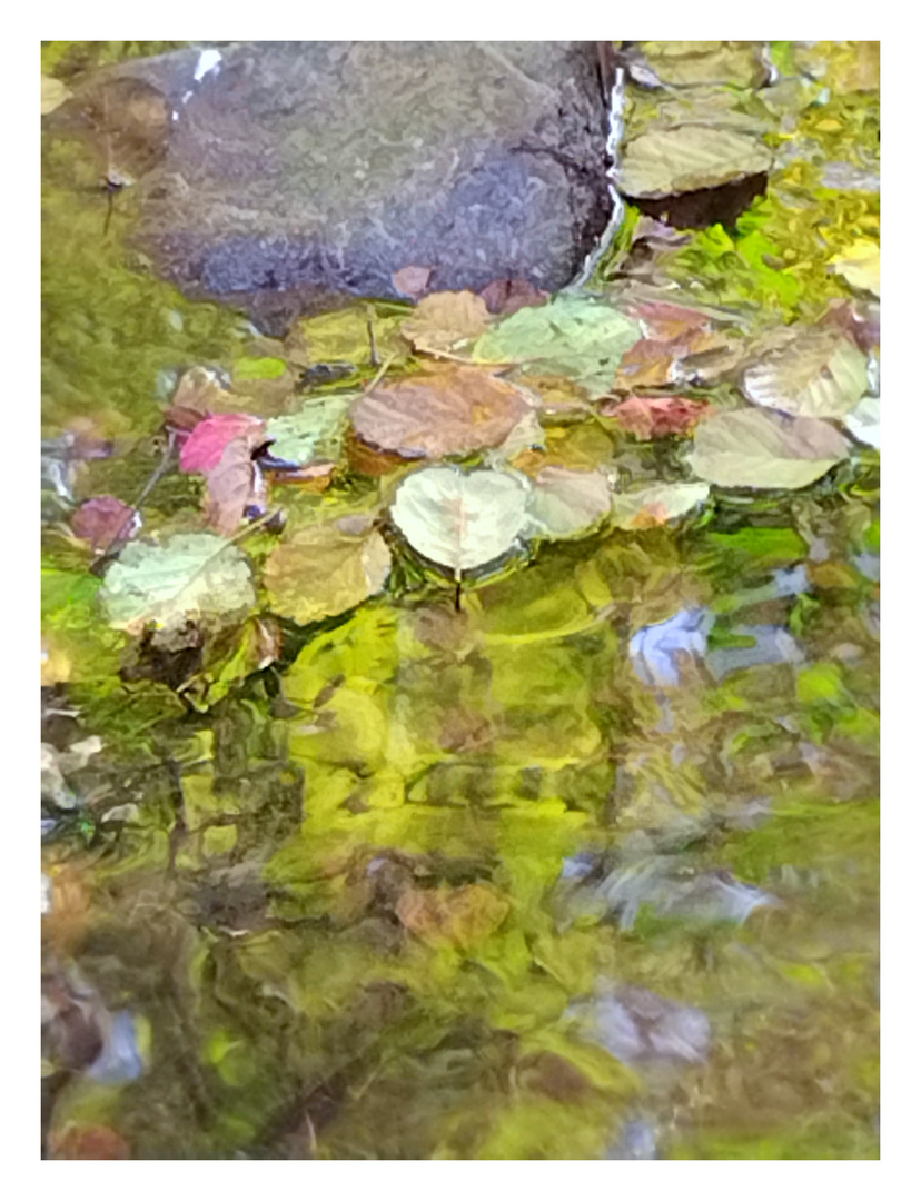 Möge der Herbst deines Lebens.... 