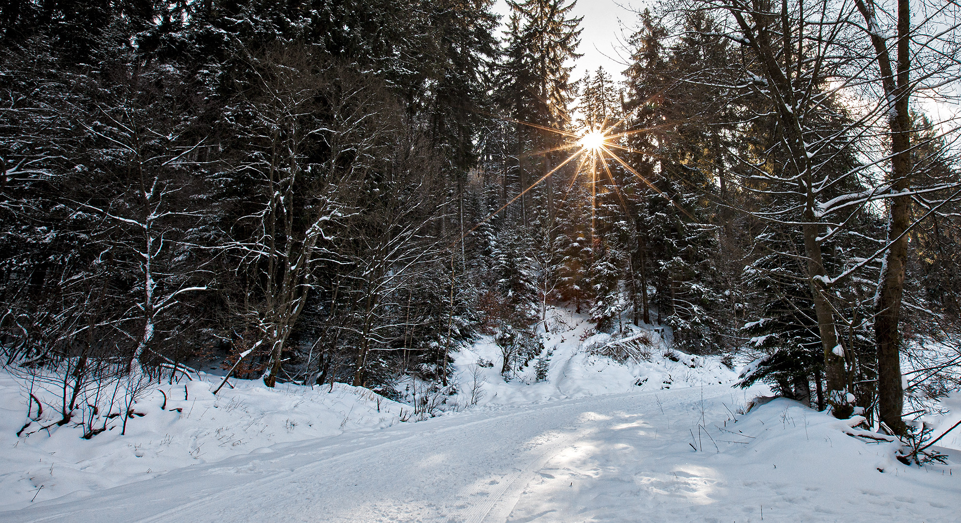 Möge der Sonnenstern uns be/erleuchten