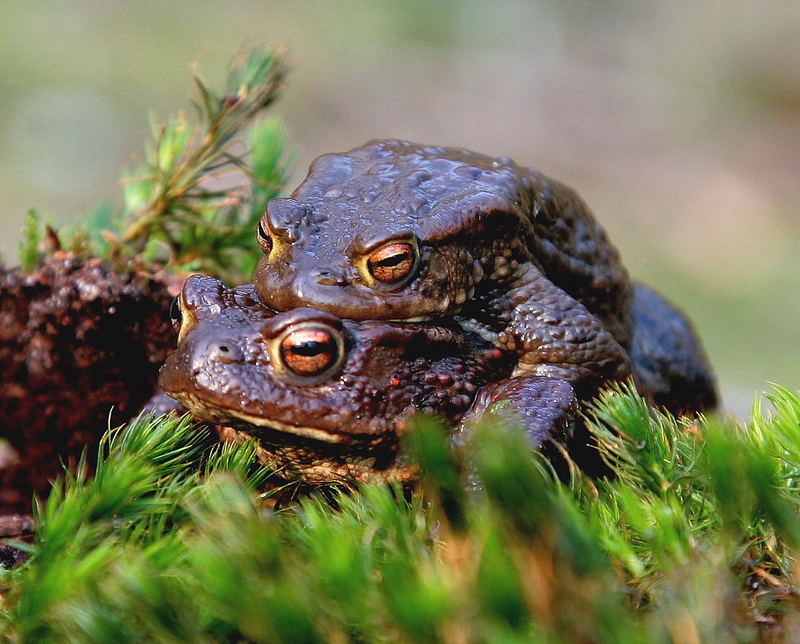 Mögen sie uns noch lange von Nutzen bleiben können