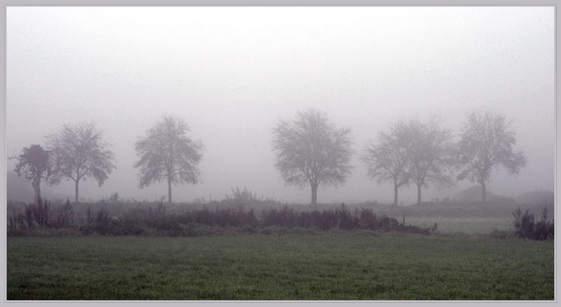 Moegennebel im Gatower Feldflur