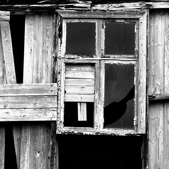 Mögliche Bildimpression aus dem Fotoworkshop "Island östliche Westfjorde" (693154)