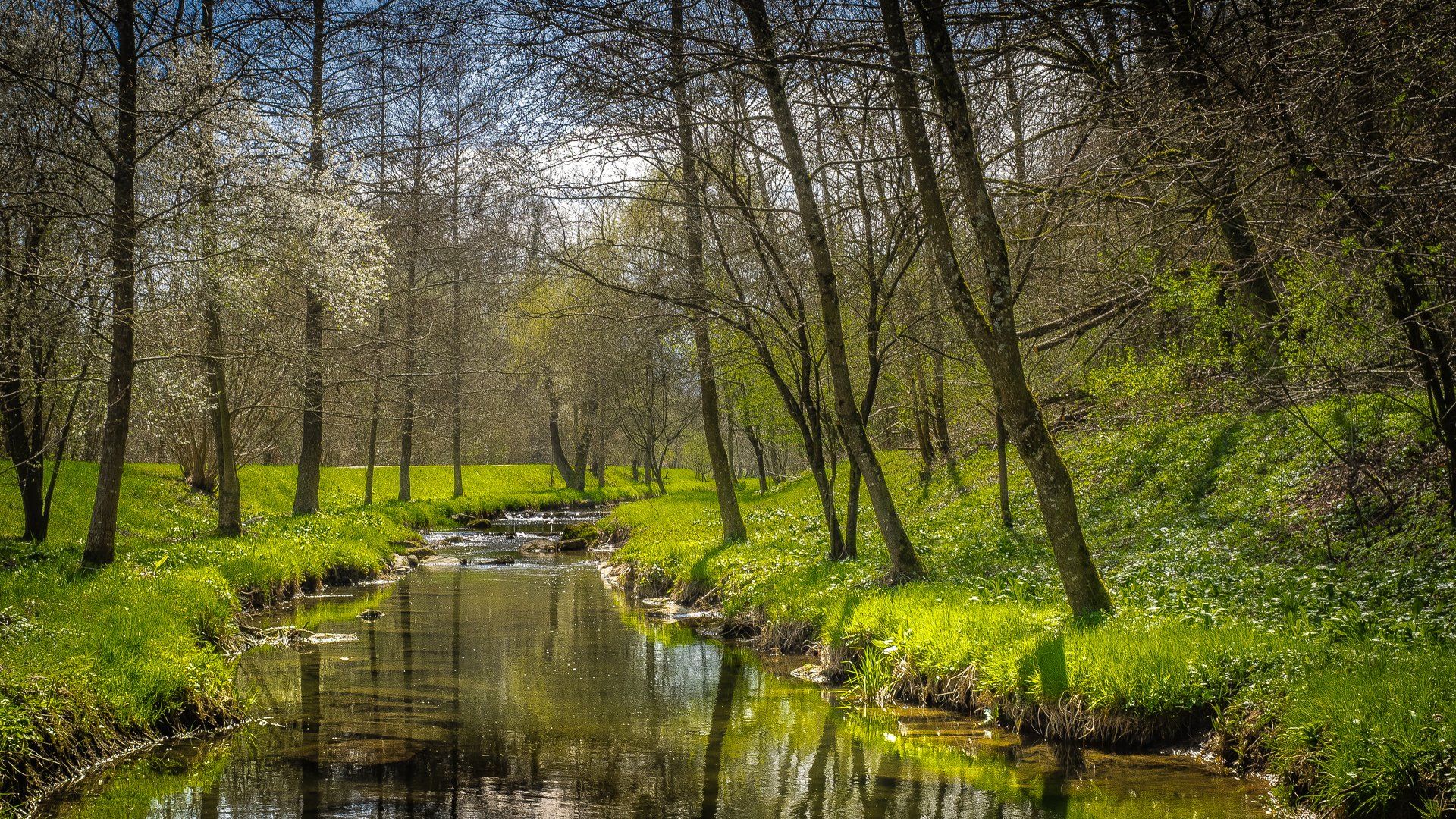 Möhlinbach...