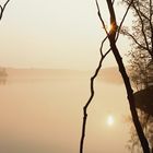 Möhne am Morgen -Panorama-