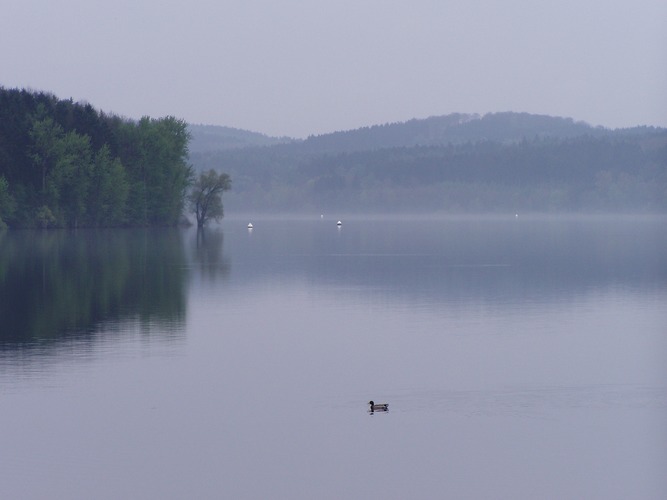 Möhnesee