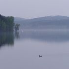 Möhnesee