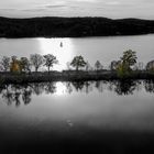 ... Möhnesee im Herbst ...