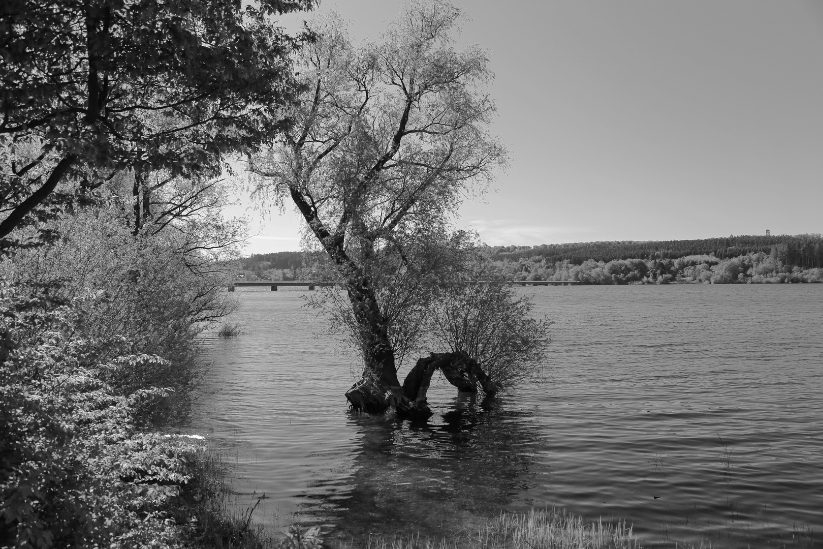 Möhnesee mal in SW