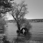 Möhnesee mal in SW