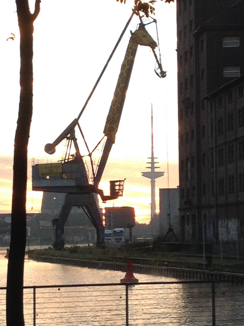 "Möhre" baut Giraffe am Hafen