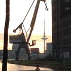 "Möhre" baut Giraffe am Hafen