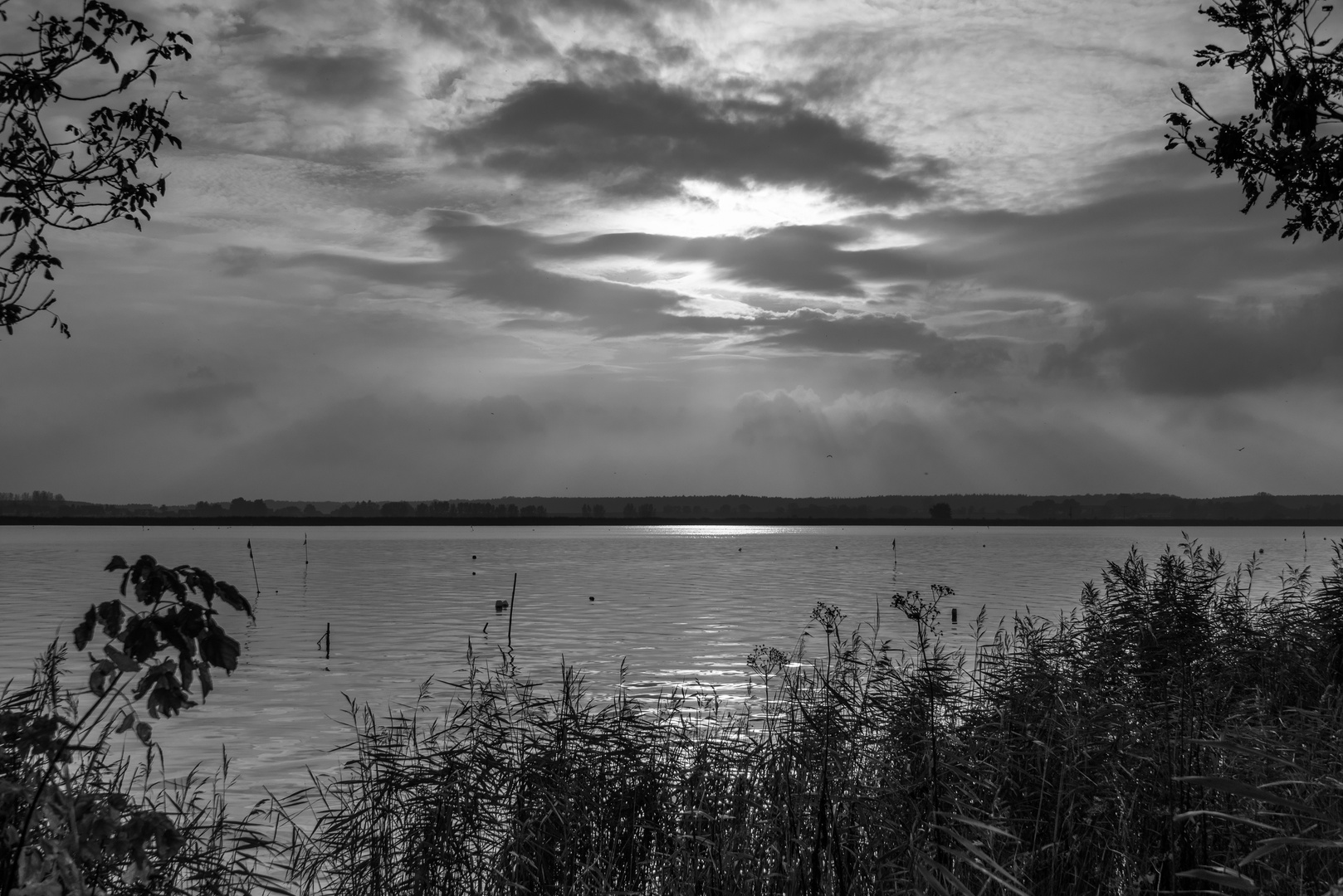 Möllner Seenlandschaft im Winter