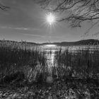 Möllner Seenlandschaft im Winter