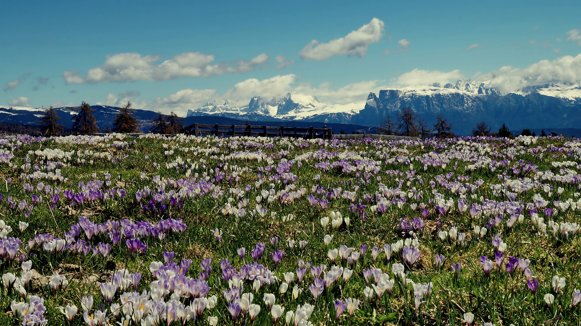 Möltnertal Südtirol und Völs an Schlern