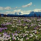 Möltnertal Südtirol und Völs an Schlern