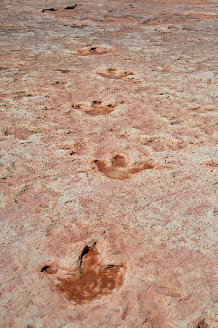 Moenave Dinosaur Tracks, Tuba City, Arizona