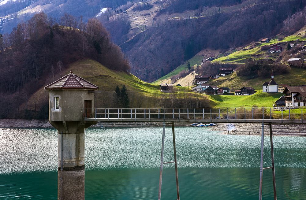 Mönch Foto & Bild world, wasser, teich Bilder auf