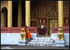 Mönch am Wat Sensoukharam, Luang Prabang, Laos