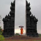 Mönch im Regen