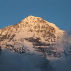 Mönch in Abendlicht