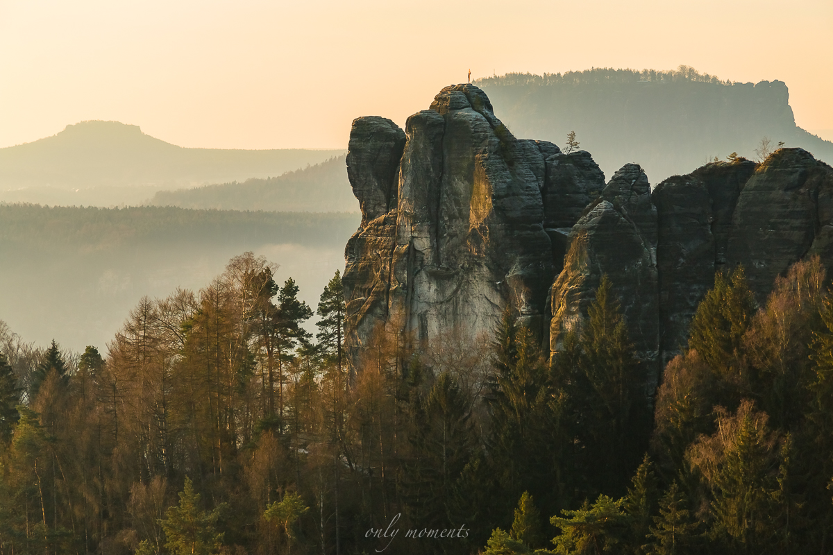 Mönch in der Morgensonne