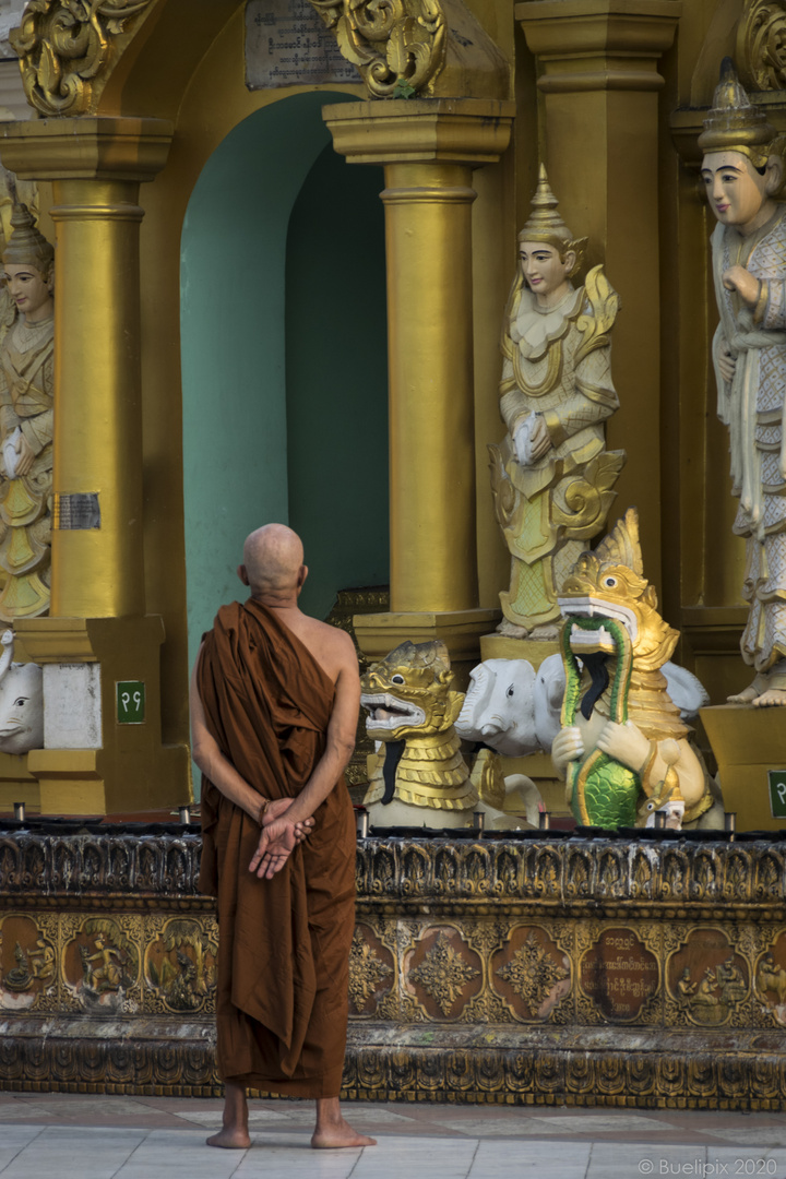 Mönch in der Shwedagon-Pagode in Yangon (© Buelipix)