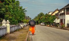 Mönch mit Schirm