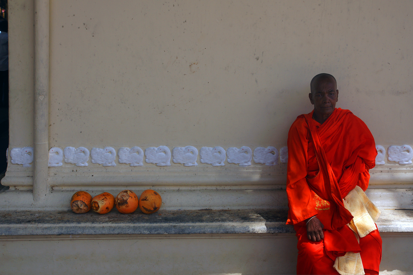 Mönch neben Kokusnüssen im lebendigen Tempel für alle Religionen. Hambantota, Sri Lanka