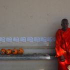 Mönch neben Kokusnüssen im lebendigen Tempel für alle Religionen. Hambantota, Sri Lanka