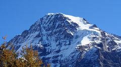 Mönch von der Fahrt nach Wengen aus gesehen